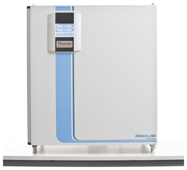 Heracell&trade; 240i CO<sub>2</sub> Incubator, 240L, General Purpose