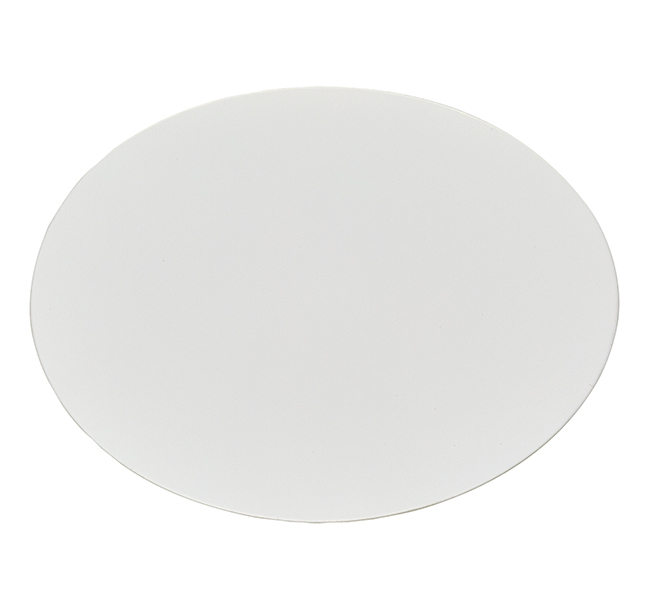 Nalgene&trade; Membrane and Prefilter Disks