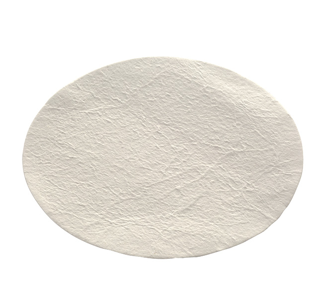 Nalgene&trade; Membrane and Prefilter Disks