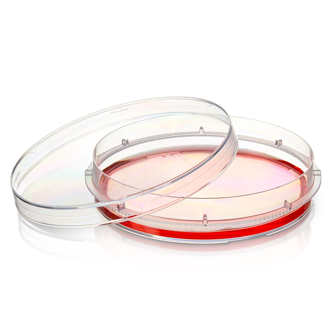 Nunc&trade; Dishes with UpCell&trade; Surface