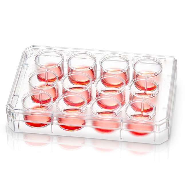 Nunc&trade; Non-Treated Multidishes