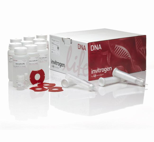 PureLink&trade; HiPure Plasmid Filter Midiprep Kit