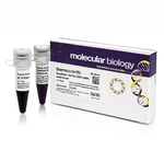 GeneRuler Express DNA Ladder, ready-to-use
